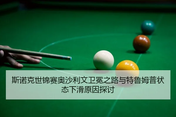 si-nuo-ke-shi-jin-sai-ao-sha-li-wen-wei-mian-zhi-lu-yu-te-lu-mu-pu-zhuang-tai-xia-hua-yuan-yin-tan-tao-3-655.jpg