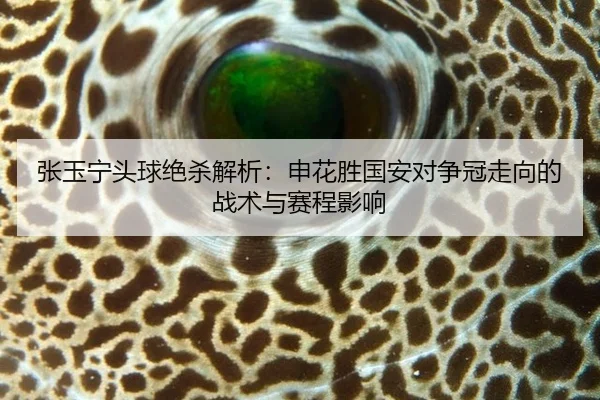 zhang-yu-ning-tou-qiu-jue-sha-jie-xi-shen-hua-sheng-guo-an-dui-zheng-guan-zou-xiang-de-zhan-shu-yu-sai-cheng-ying-xiang-2-731.jpg