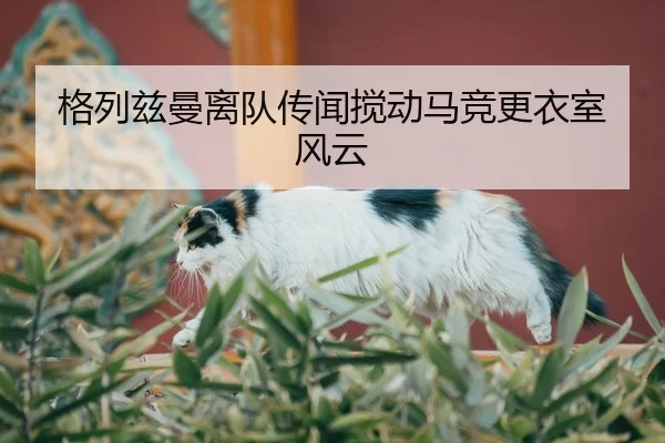 格列兹曼离队传闻搅动马竞更衣室风云