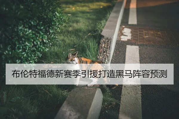 布伦特福德新赛季引援打造黑马阵容预测
